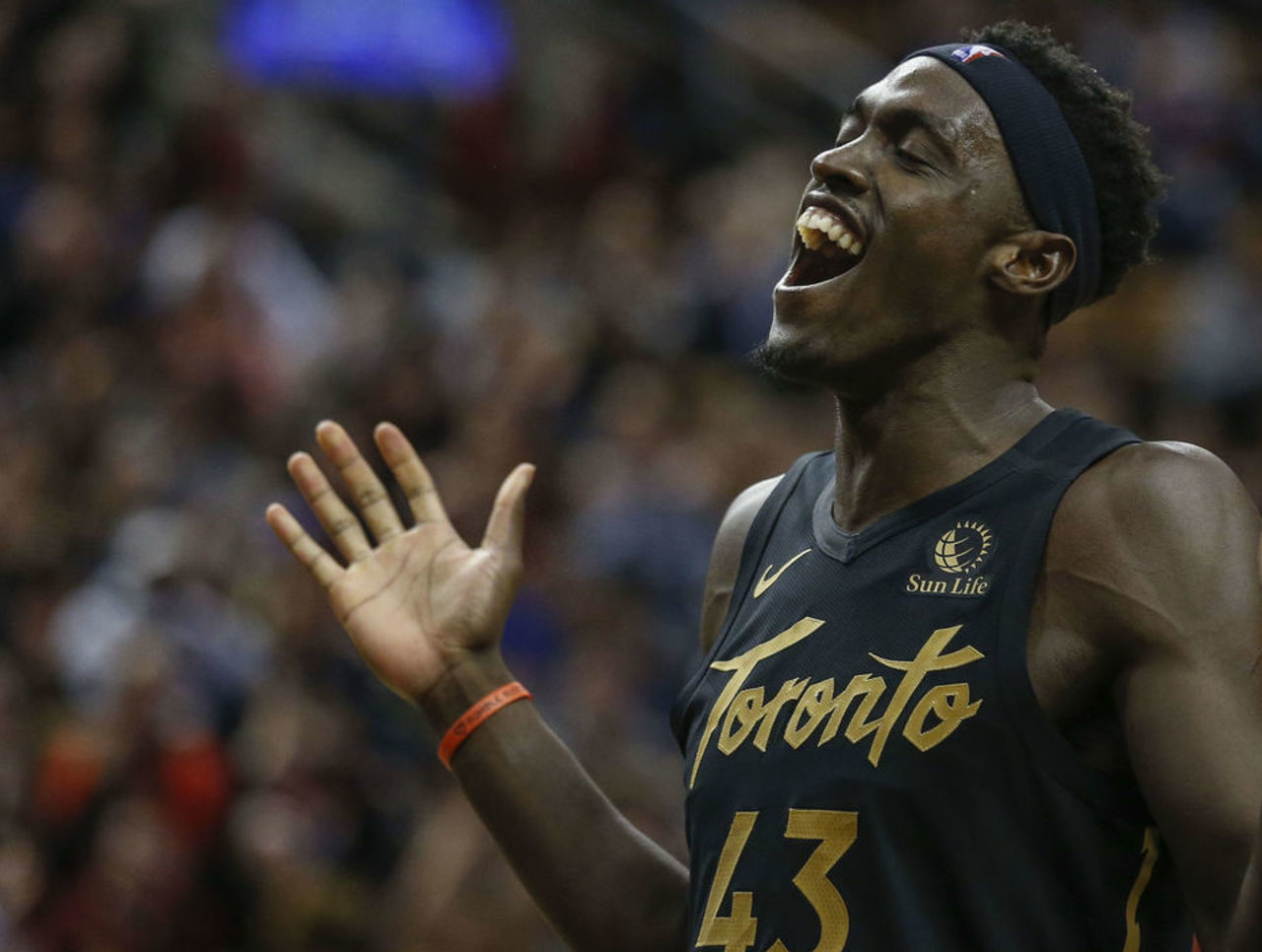 猛龙胜太阳,帕斯卡尔表现出色的简单介绍 猛龙胜太阳,帕斯卡尔表现出色的简单介绍